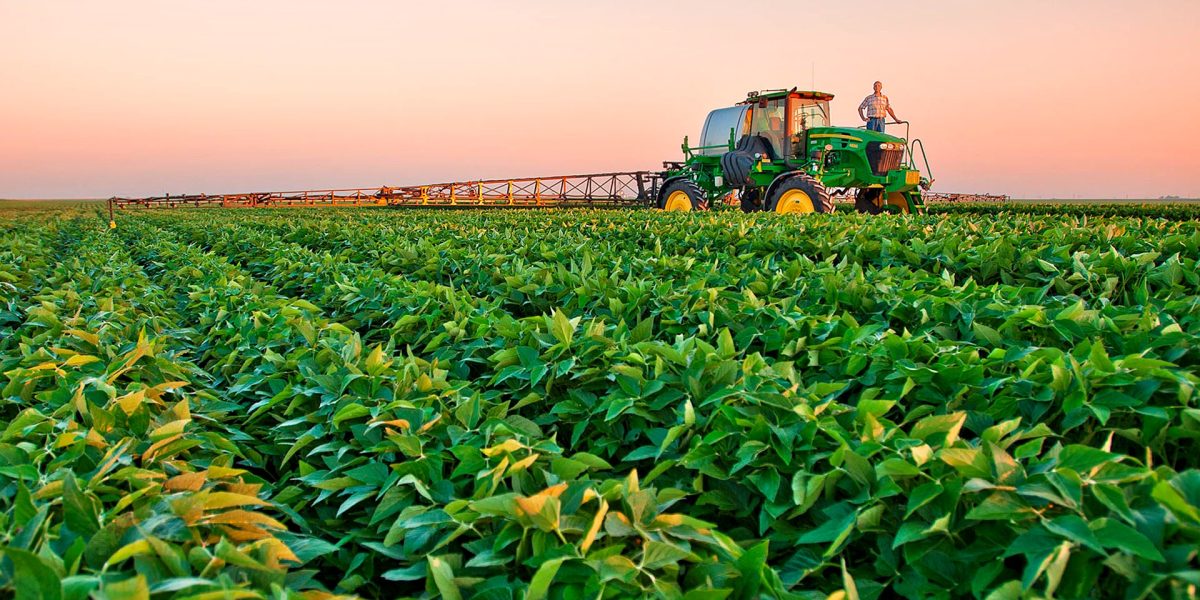 agro agro